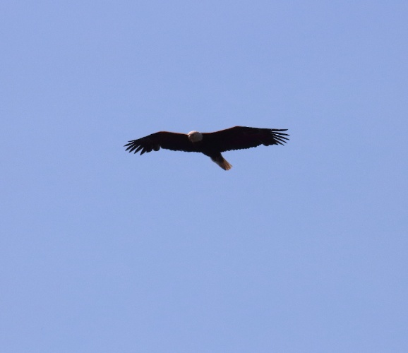 2019 05 08 HTP 90361e
